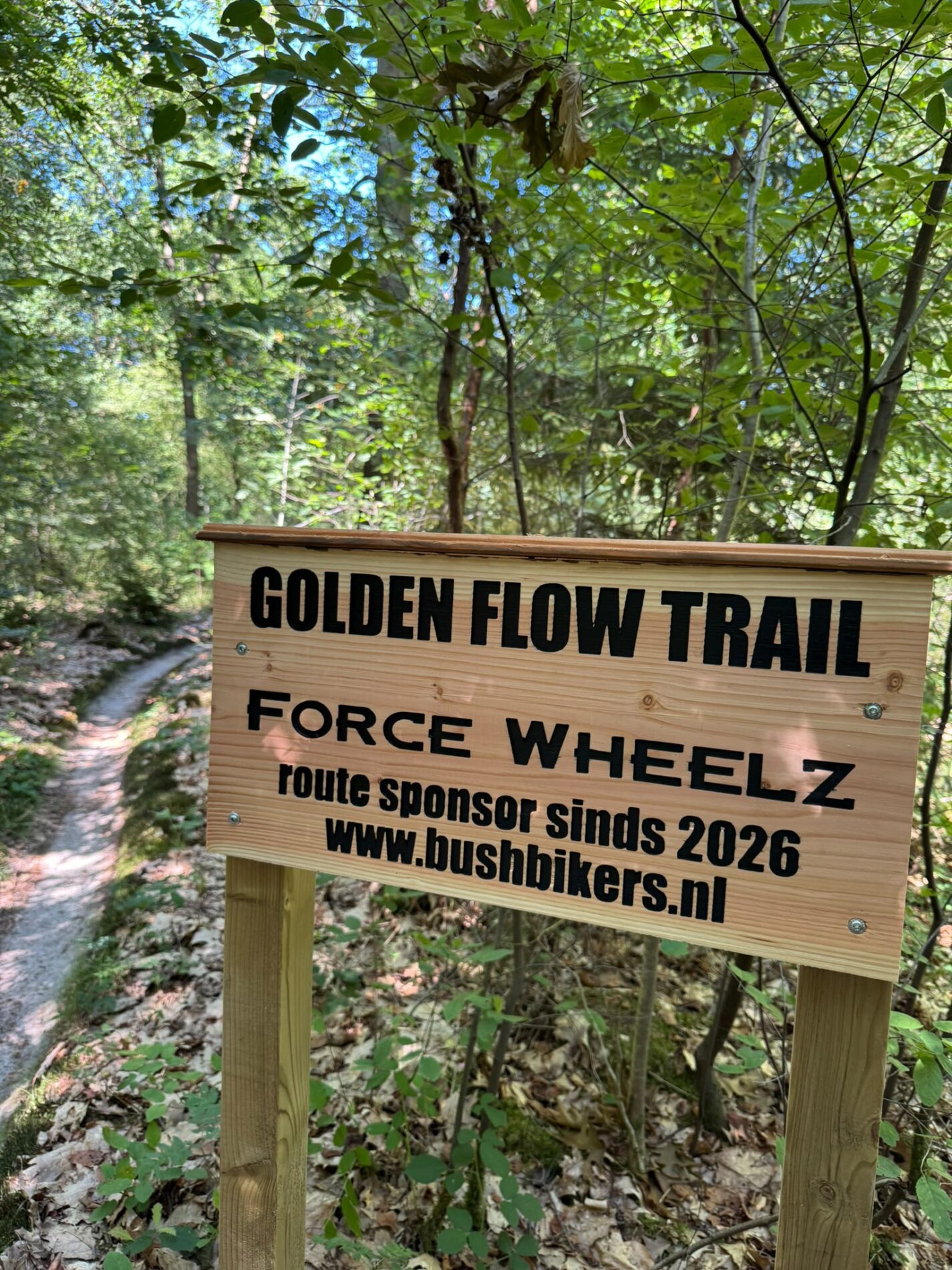 Golden Flow Trail