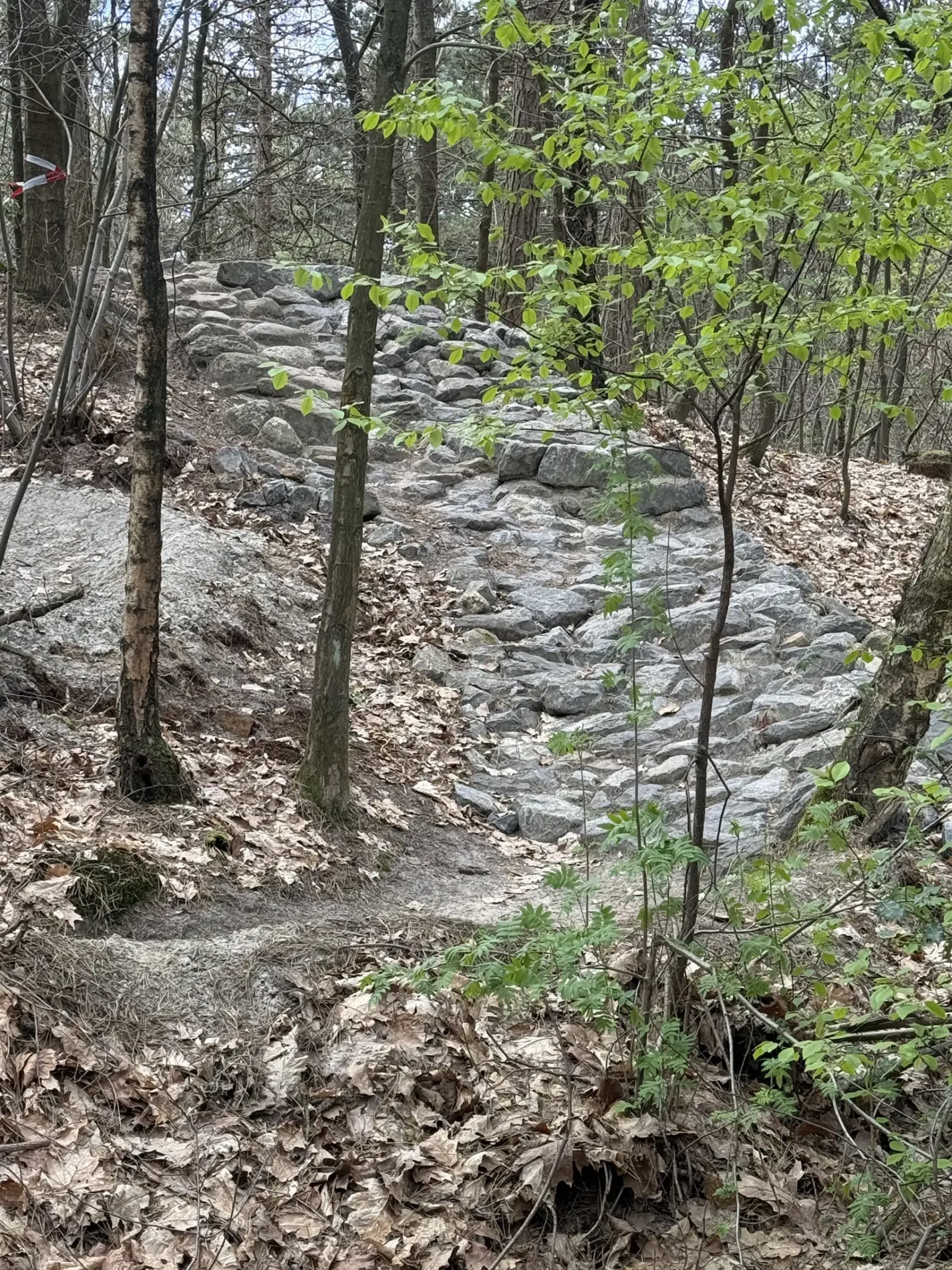 Rockgarden